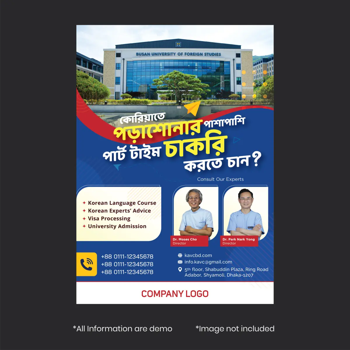 Consult Company Brochure Design
